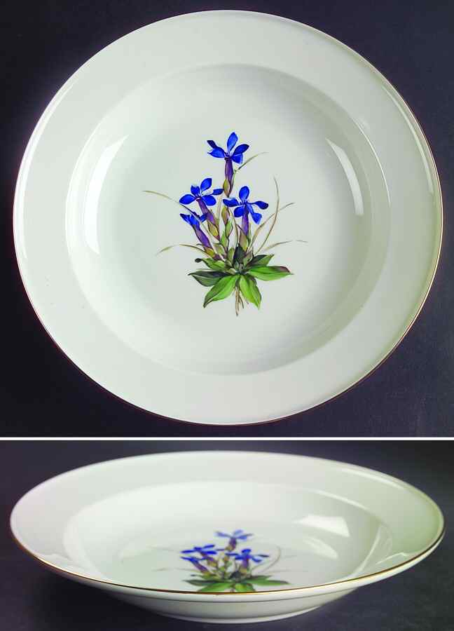 Alpine Flowers Large Rim Soup Bowl by Rosenthal - Continental-1