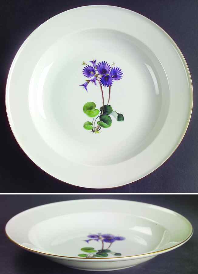Alpine Flowers Large Rim Soup Bowl by Rosenthal - Continental-1