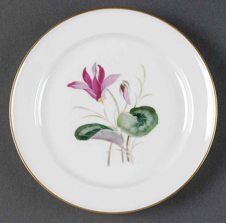 Alpine Flowers Bread & Butter Plate by Rosenthal - Continental-1