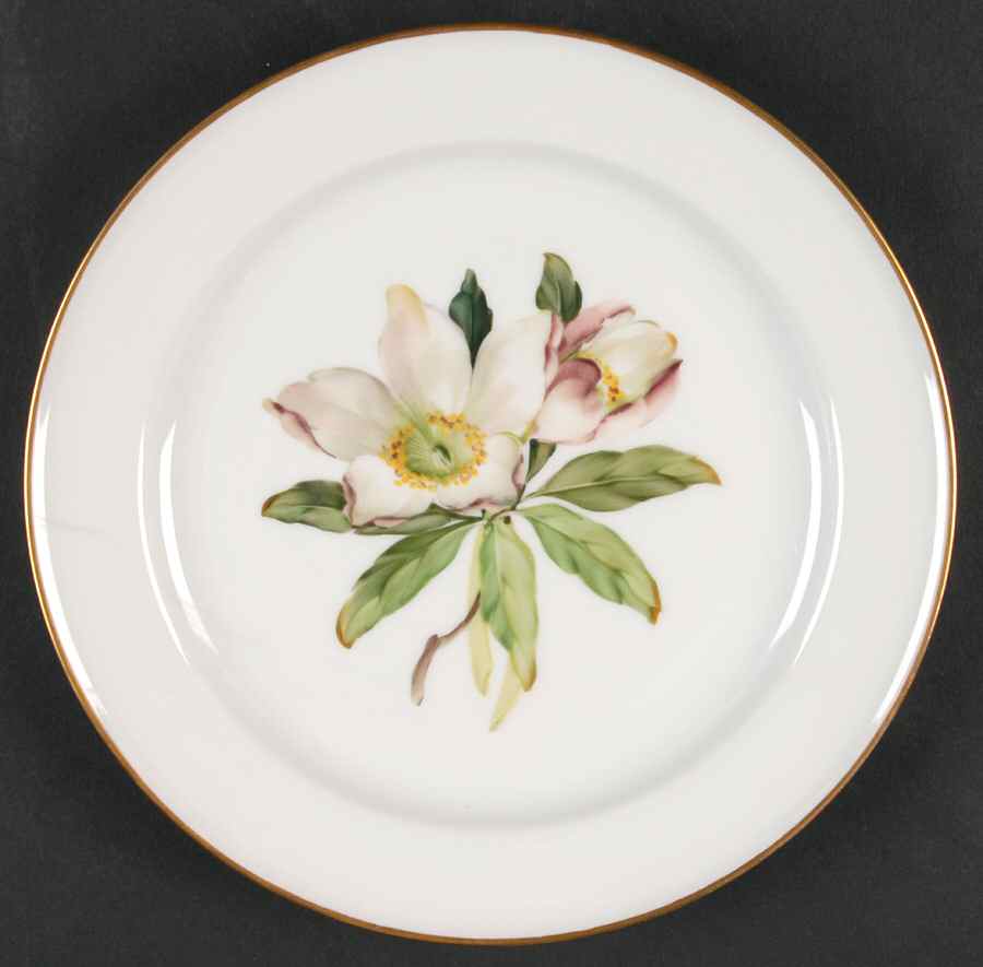 Alpine Flowers Salad Plate by Rosenthal - Continental-1