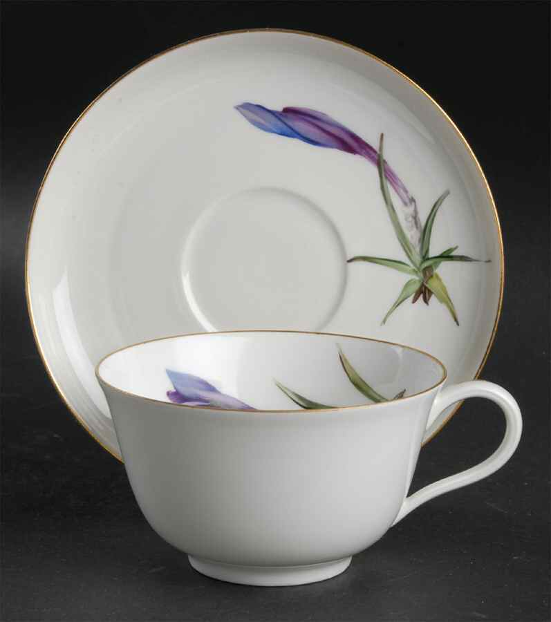 Alpine Flowers Flat Cup & Saucer Set by Rosenthal - Continental-1