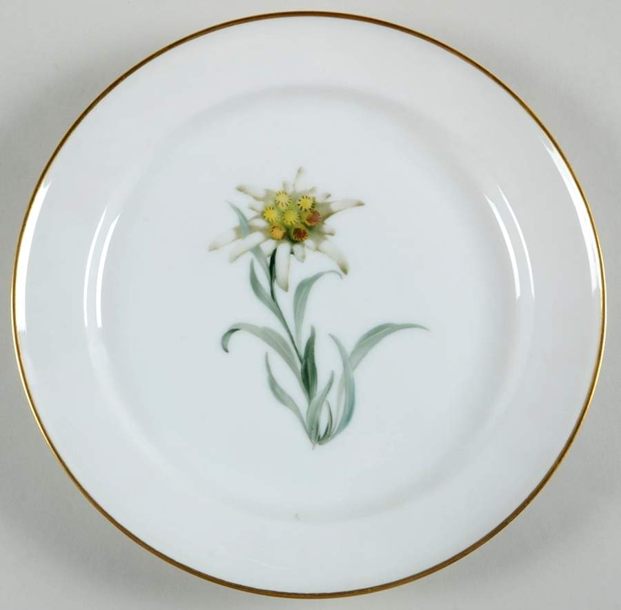 Alpine Flowers Salad Plate by Rosenthal - Continental-1