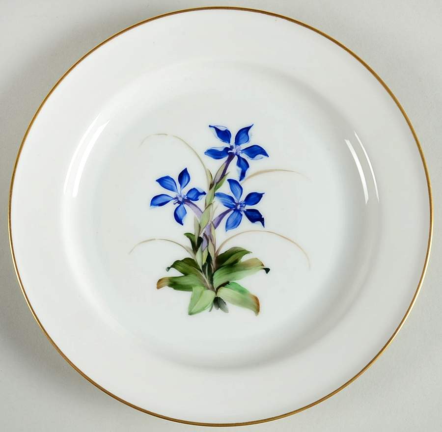 Alpine Flowers Salad Plate by Rosenthal - Continental-1