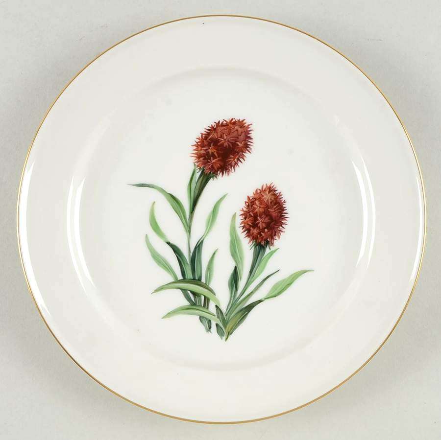 Alpine Flowers Salad Plate by Rosenthal - Continental-1