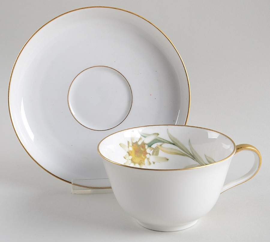 Alpine Flowers Flat Cup & Saucer Set by Rosenthal - Continental-1