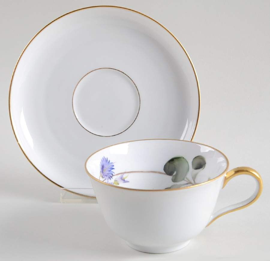 Alpine Flowers Flat Cup & Saucer Set by Rosenthal - Continental-1