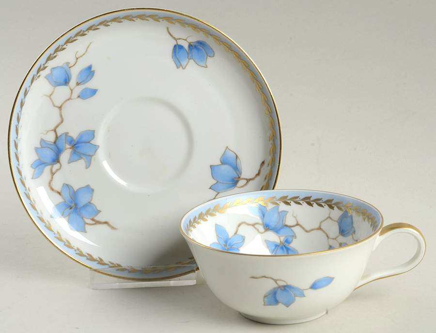Blue Danube (White) Flat Cup & Saucer Set by Rosenthal - Continental-1