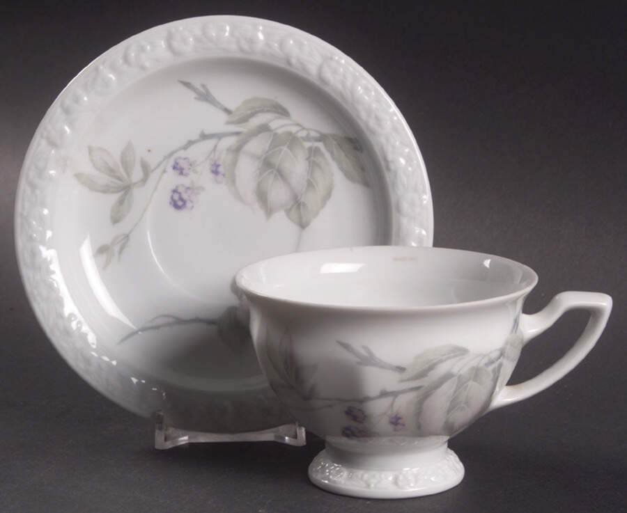 Brombeere Footed Cup & Saucer Set by Rosenthal - Continental-1
