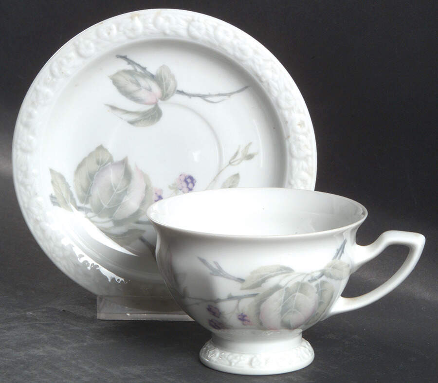 Brombeere Footed Cup & Saucer Set by Rosenthal - Continental-1