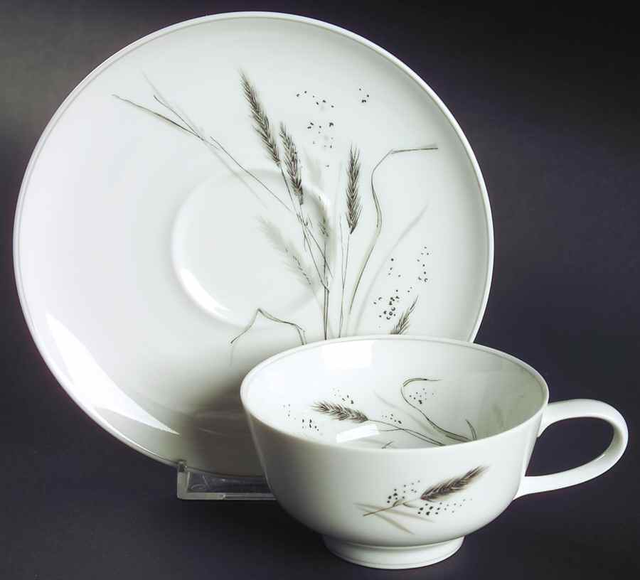 Ceres (Gray Trim) Flat Cup & Saucer Set by Rosenthal - Continental-1