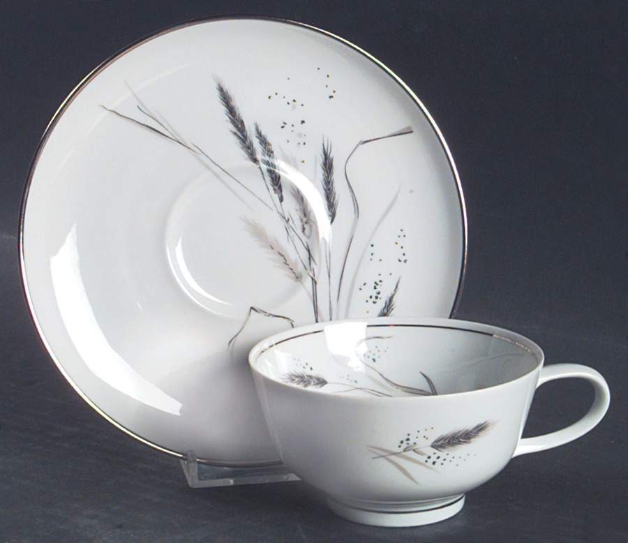 Ceres (Platinum Trim) Footed Cup & Saucer Set by Rosenthal - Continental-1