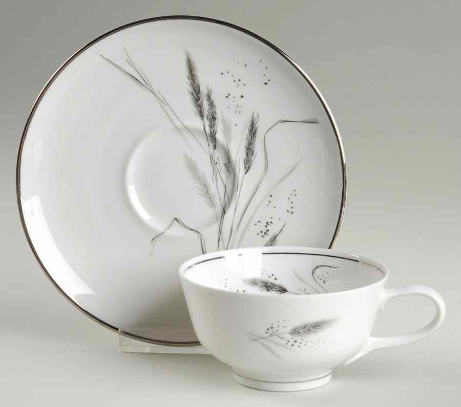 Ceres (Platinum Trim) Footed Cup & Saucer Set by Rosenthal - Continental-1