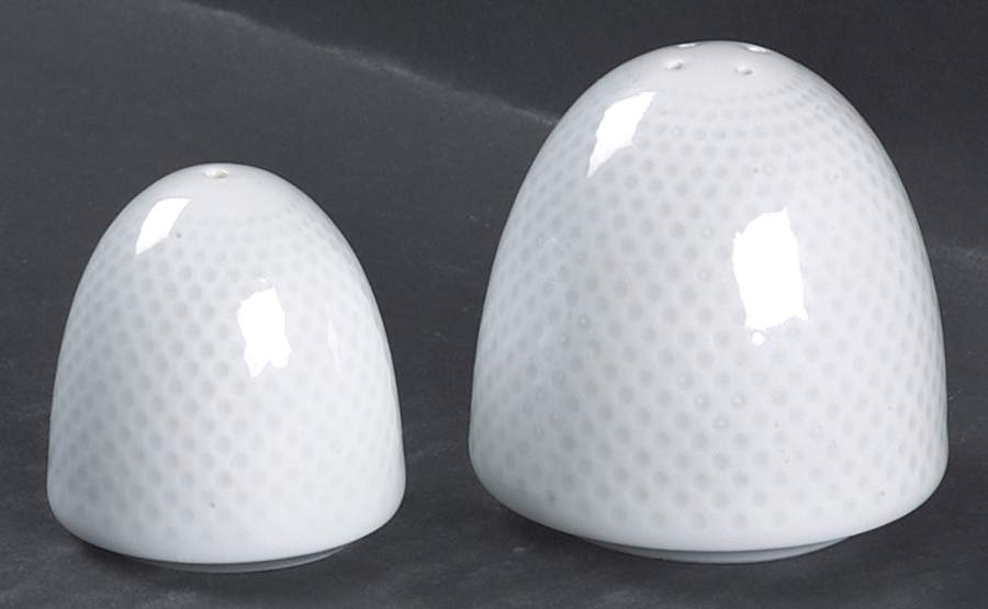 Century White (Rim) Salt & Pepper Set by Rosenthal - Continental-1