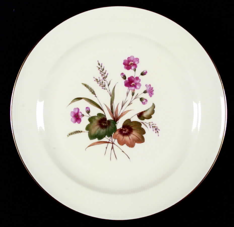 Claudia Dinner Plate by Rosenthal - Continental-1