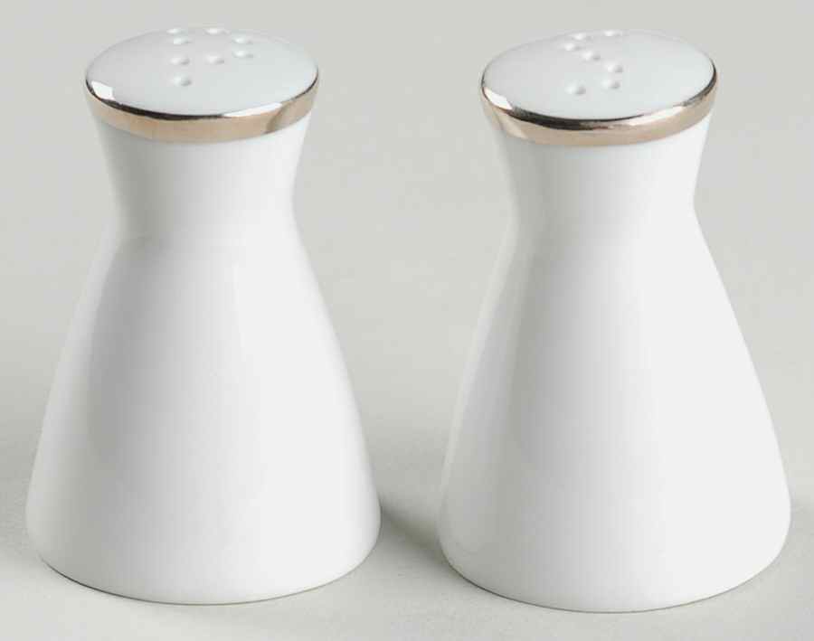 Classic Platinum (Older) Salt & Pepper Set by Rosenthal - Continental-1