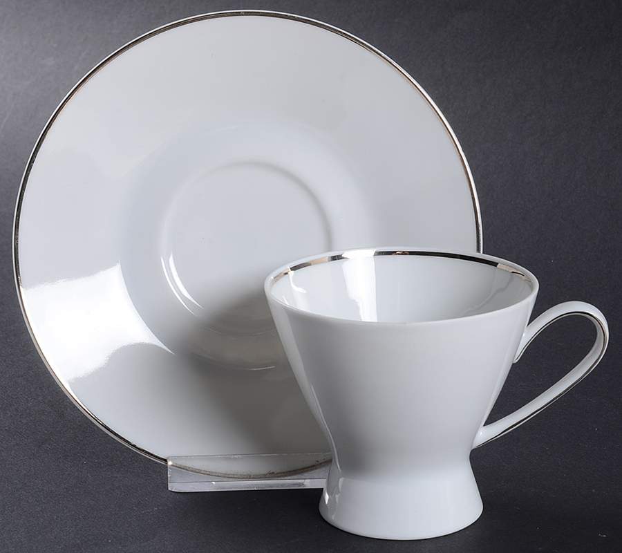 Classic Platinum (Newer) Footed Cup & Saucer Set by Rosenthal - Continental-1