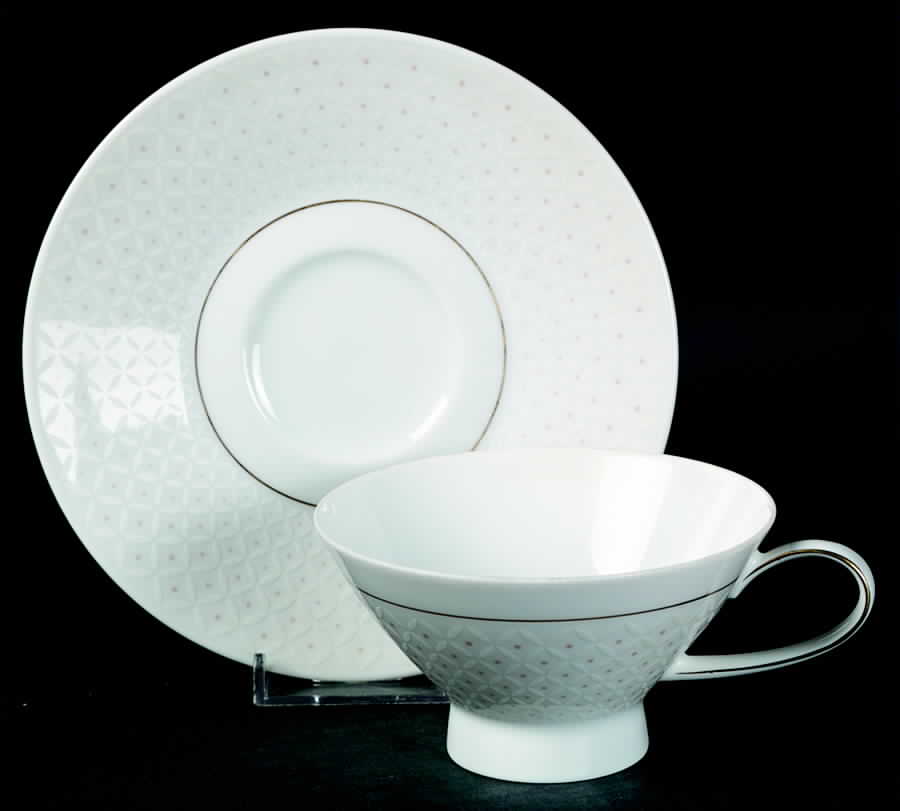 Crown Jewel Footed Cup & Saucer Set by Rosenthal - Continental-1