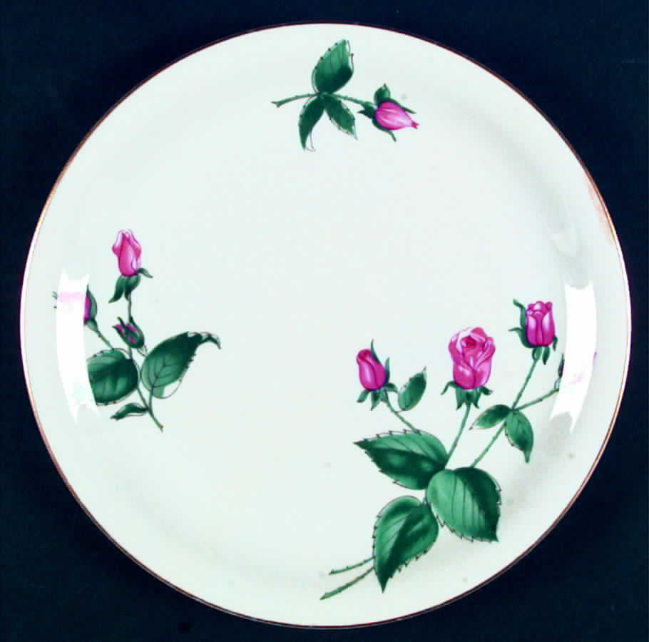 Darling Rose Dinner Plate by Rosenthal - Continental-1