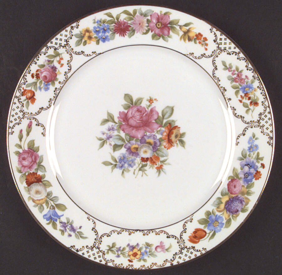 The Dresden Dinner Plate by Rosenthal - Continental-1
