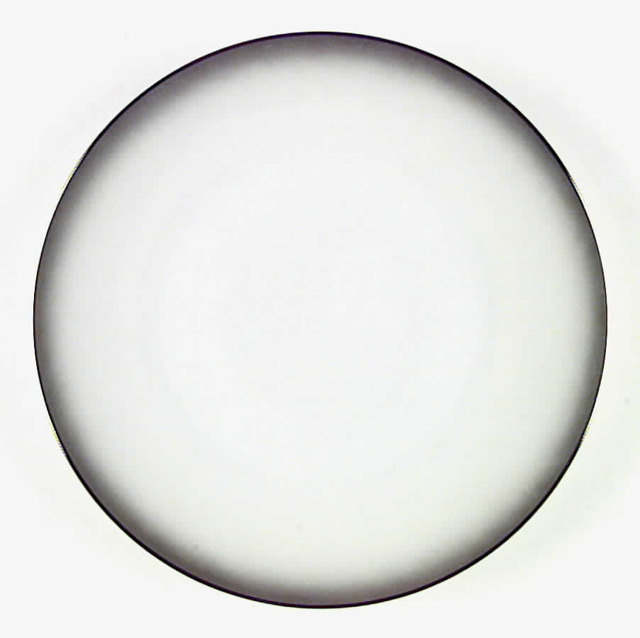 Elegance (Platinum Trim) Dinner Plate by Rosenthal - Continental-1