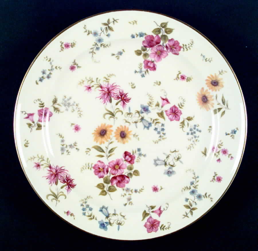 Florida Dinner Plate by Rosenthal - Continental-1