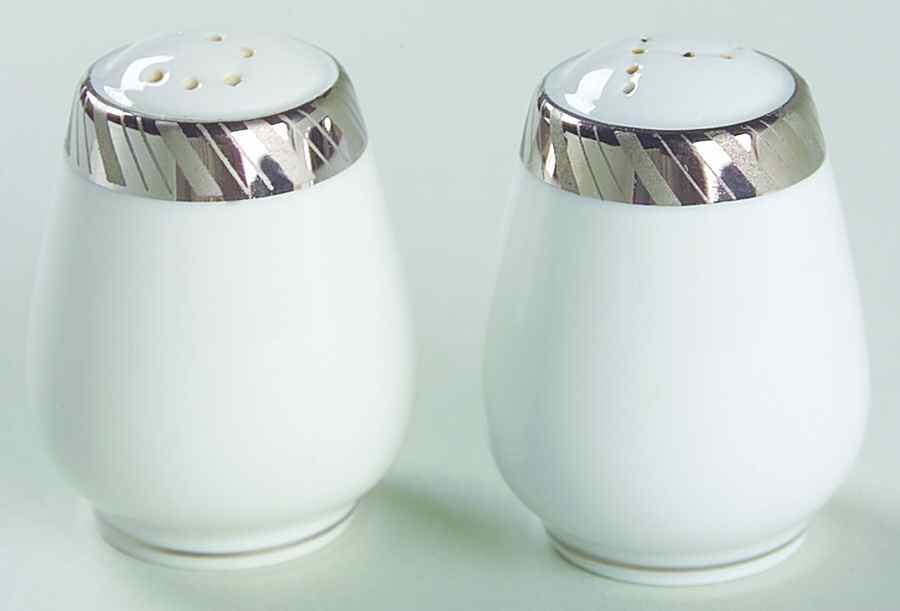 Gloriette Platin Salt & Pepper Set by Rosenthal - Continental-1