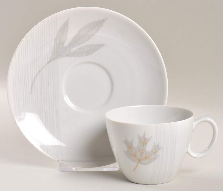 Golden Oak Flat Cup & Saucer Set by Rosenthal - Continental-1