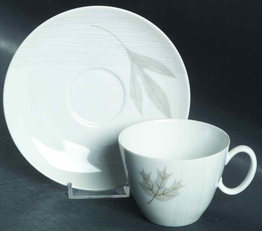 Golden Oak Flat Cup & Saucer Set by Rosenthal - Continental-1
