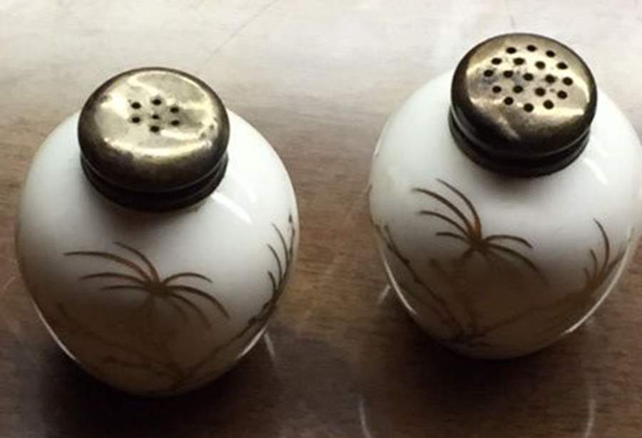 Golden Palm (White, Coupe) Salt & Pepper Set w/Metal Lids by Rosenthal - Continental-1