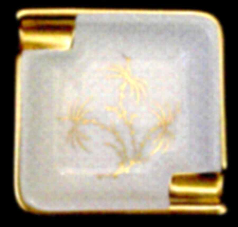 Golden Palm Salt & Pepper Set by Rosenthal - Continental-1