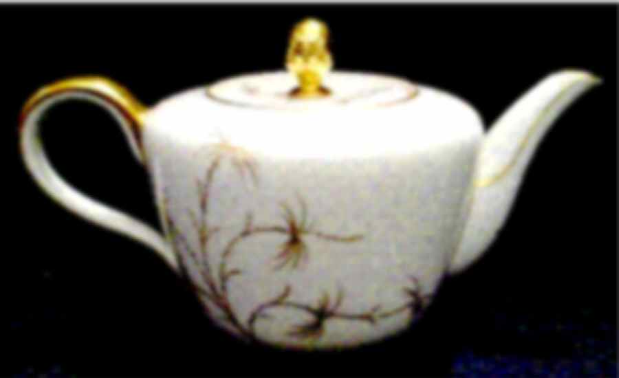 Golden Palm Teapot & Lid by Rosenthal - Continental-1