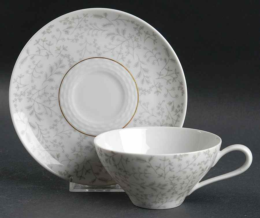 Gray Fern Flat Cup & Saucer Set by Rosenthal - Continental-1