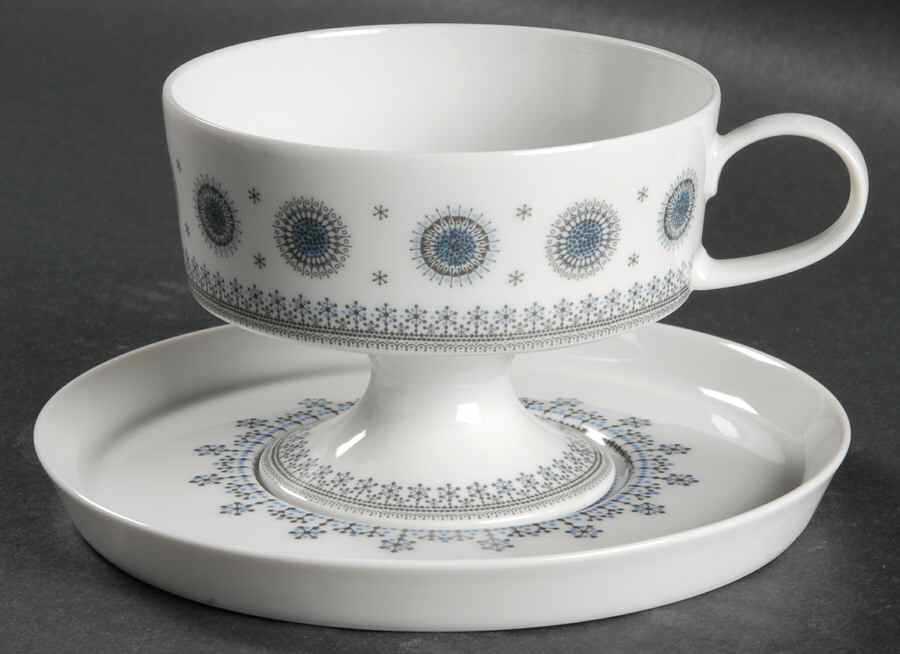 Ice Blossom Footed Cup & Saucer Set by Rosenthal - Continental-1