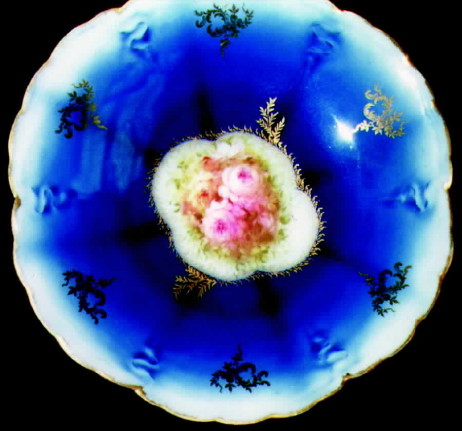 Iris Salad Plate by Rosenthal - Continental-1