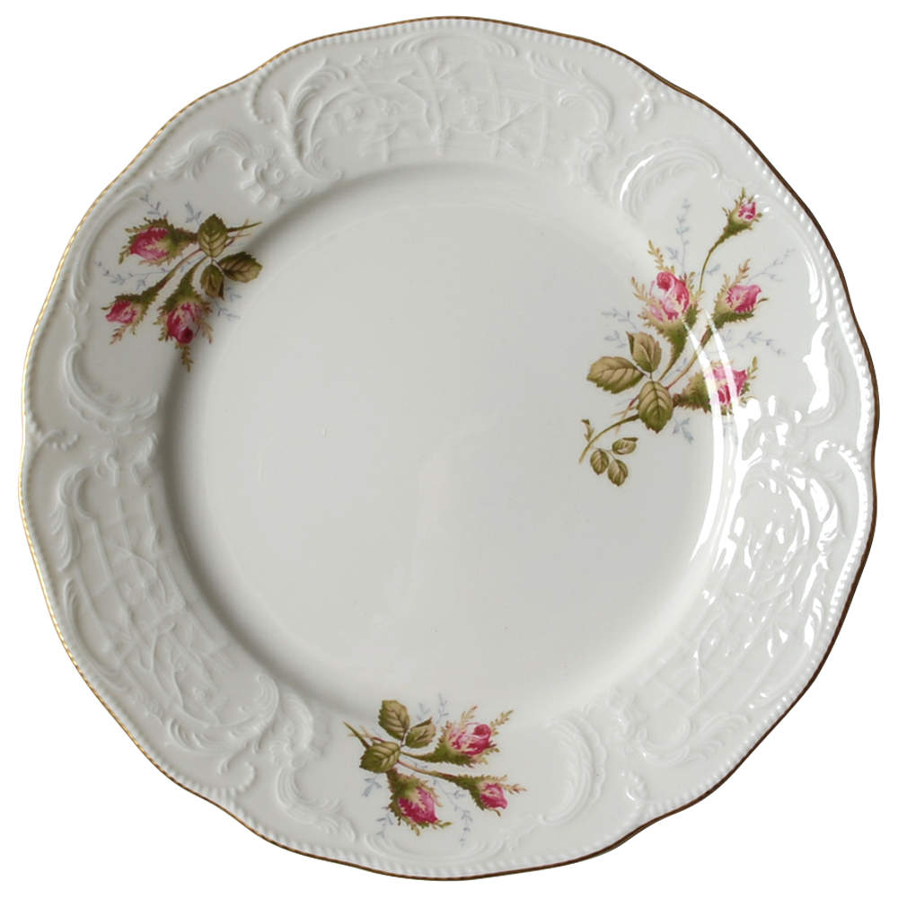 Ivory Rose Dinner Plate by Rosenthal - Continental-1