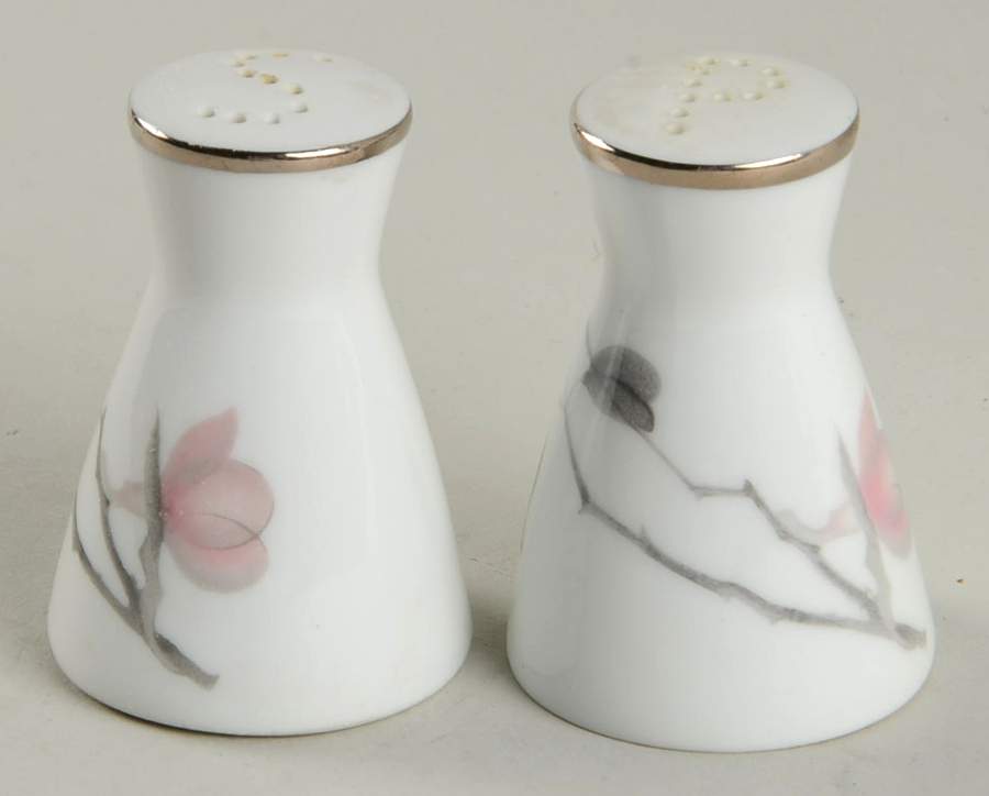 Japanese Quince (Platinum Trim) Salt & Pepper Set by Rosenthal - Continental-1