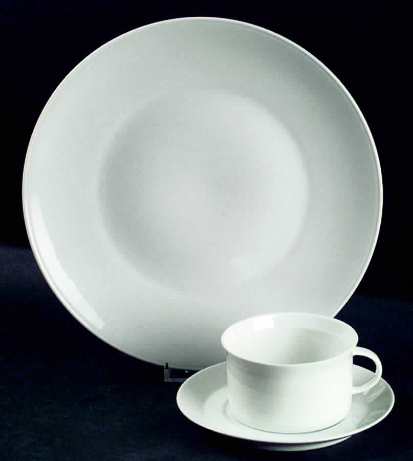 Linear Berlin White Large Dinner Plate by Rosenthal - Continental-1