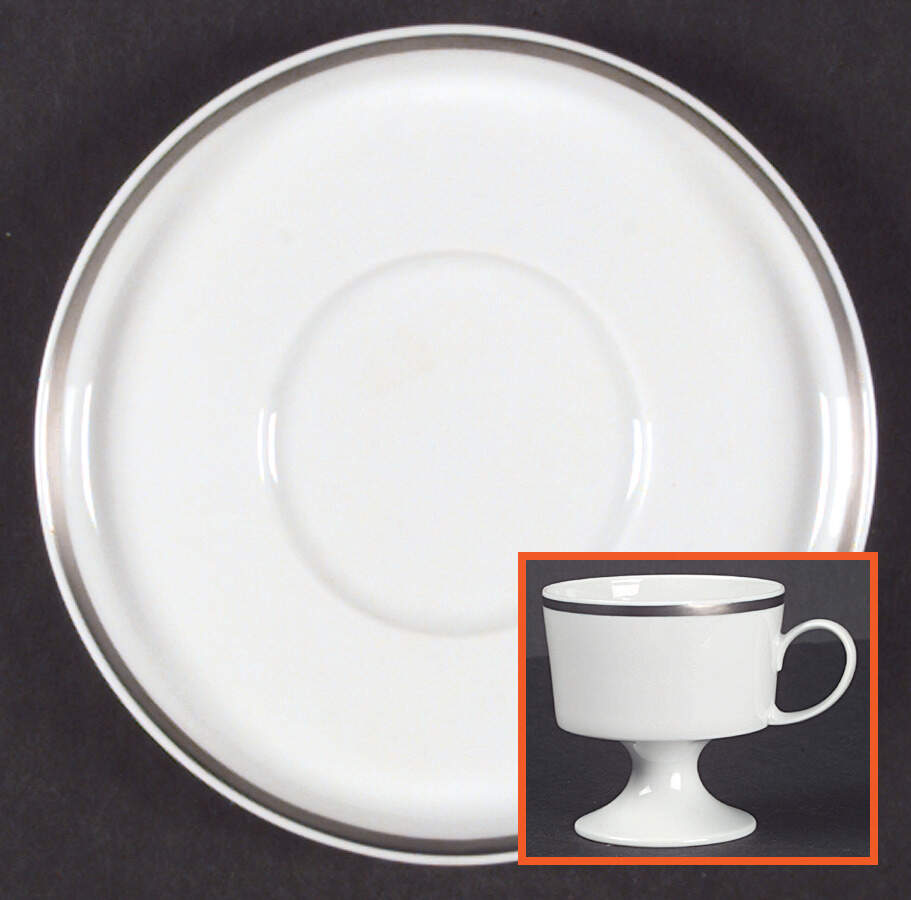 Mat Platinum (Composition) Footed Cup & Saucer Set by Rosenthal - Continental-1