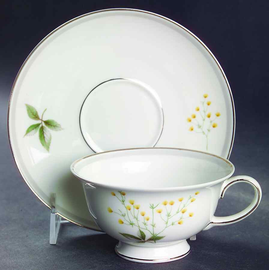 Melody Footed Cup & Saucer Set by Rosenthal - Continental-1