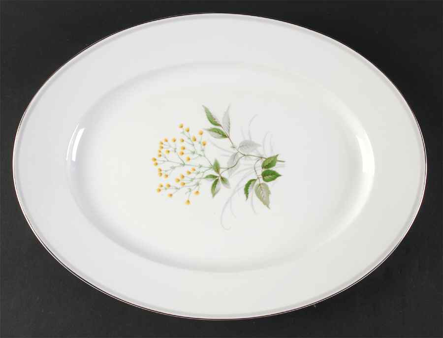 Melody 14" Oval Serving Platter by Rosenthal - Continental-1