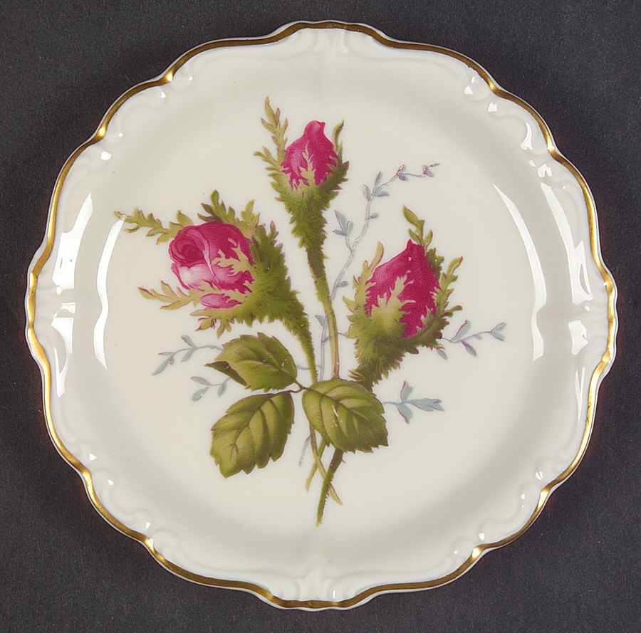 Moss Rose (Pompadour, Ivory Body, Off Center) Coaster by Rosenthal - Continental-1