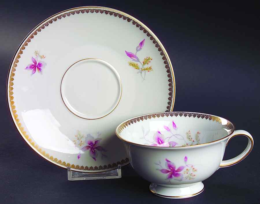 Orchid (Aida) Footed Cup & Saucer Set by Rosenthal - Continental-1