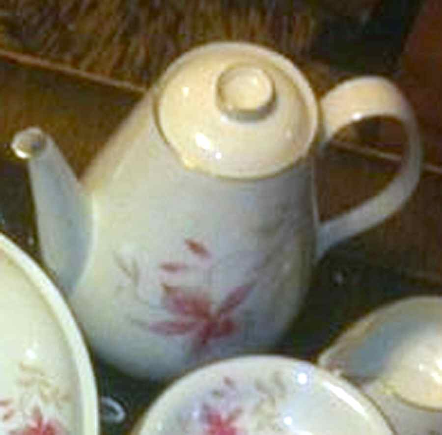 Orchid (Form E) Coffee Pot & Lid by Rosenthal - Continental-1