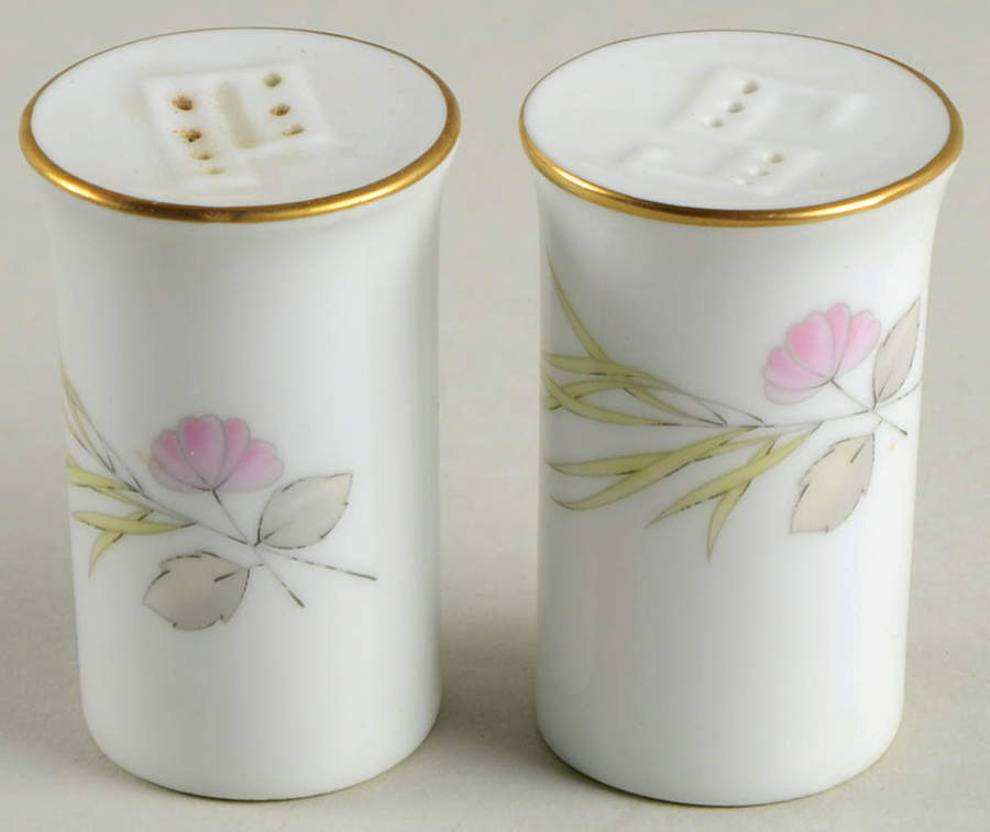 Parisian Spring White (Gold Trim) Salt & Pepper Set by Rosenthal - Continental-1