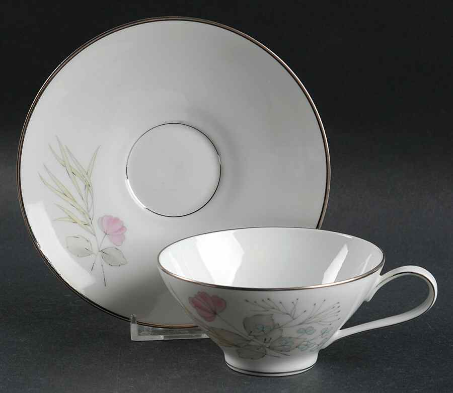Parisian Spring White (Platinum Trim) Flat Cup & Saucer Set by Rosenthal - Continental-1