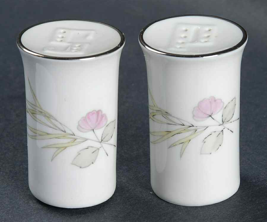 Parisian Spring White (Platinum Trim) Salt & Pepper Set by Rosenthal - Continental-1