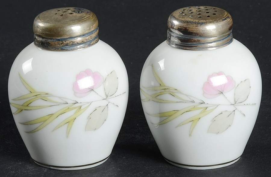 Parisian Spring White (Platinum Trim) Salt & Pepper Set by Rosenthal - Continental-1
