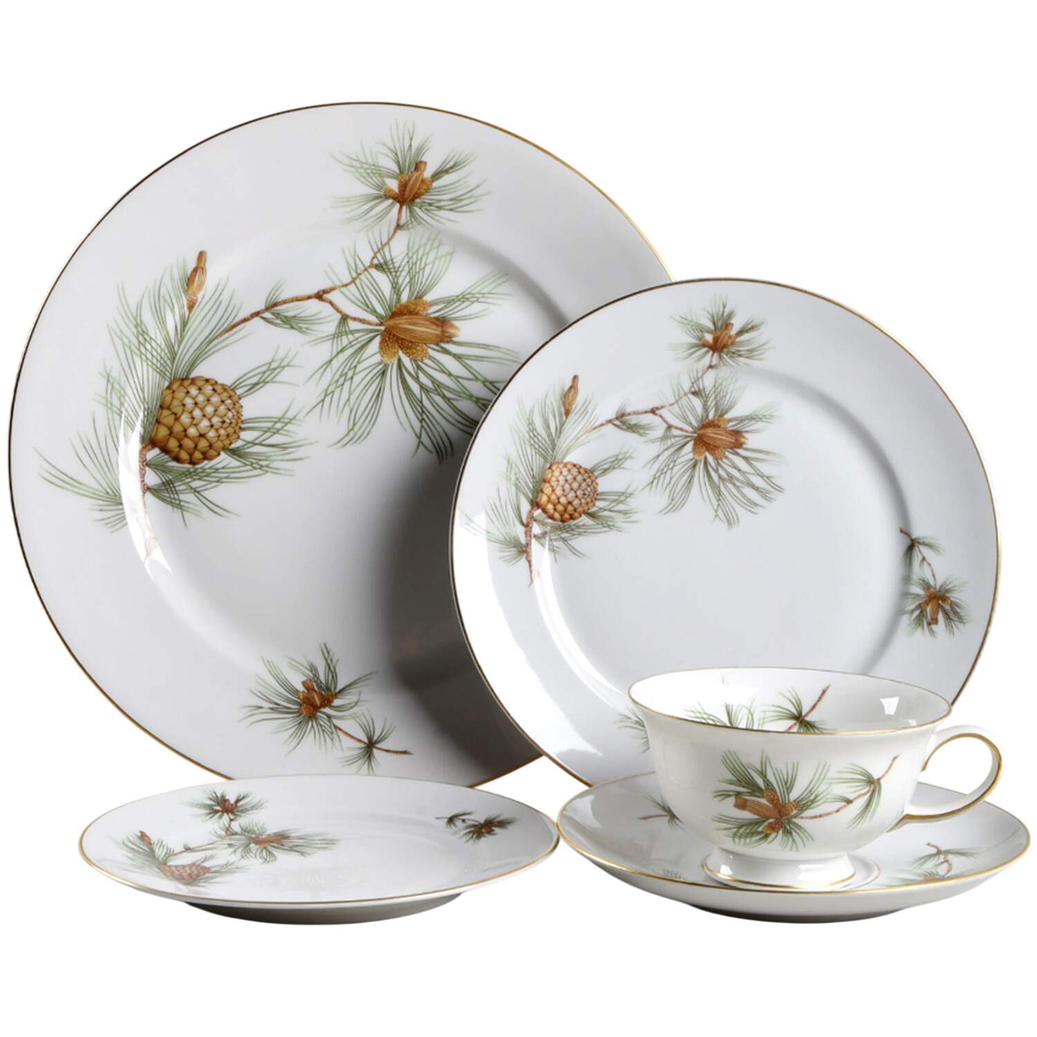 Pine Needles 40  Piece Estate Set by Rosenthal - Continental-1