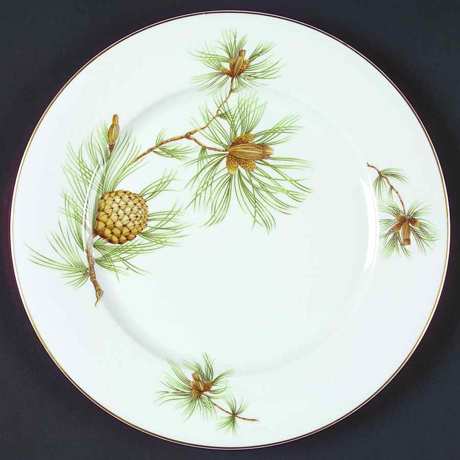 Pine Needles Large Dinner Plate by Rosenthal - Continental-1