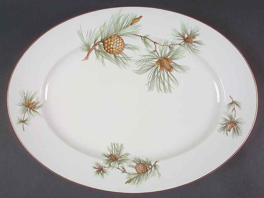 Pine Needles 14" Oval Serving Platter by Rosenthal - Continental-1